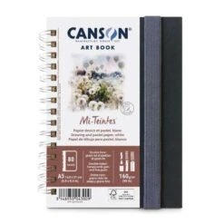 Canson Mi-Teintes Art Book