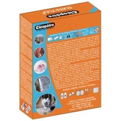 Cléopâtre Resin 100 -Art Supply Sales ClC3A9opC3A2treResin100 2