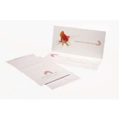 Clairefontaine 'Pollen' DIN Long Folding Cards -Art Supply Sales Clairefontaine26230393BPollen26230393BDINLongFoldingCards 4