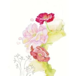 Faber-Castell Goldfaber Aqua Watercolour Pencil Gift Set -Art Supply Sales Faber CastellGoldfaberAquaWatercolourPencilGiftSet 1