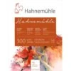 Hahnemuehle 300 Watercolour Paper Blocks