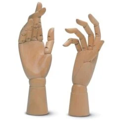 Jax Articulated Model Hands