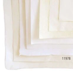 Jia Xuan Japanese Paper