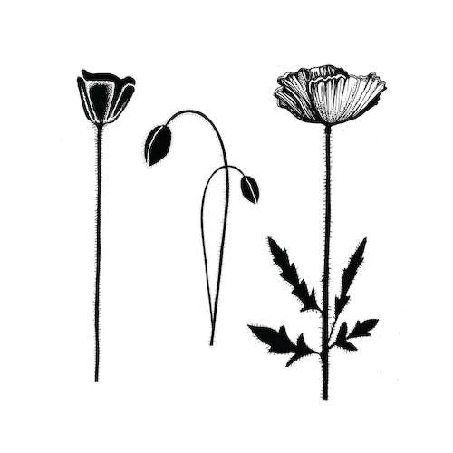 Lavinia Stamps, Group Poppies 1 Lavinia Stamps, Group Poppies