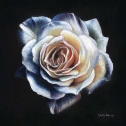 PanPastel Kirsty Rebecca Set -Art Supply Sales PanPastelKirstyRebeccaSet 3