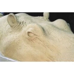 Plastiline Naples Pink Modelling Clay -Art Supply Sales PlastilineNaplesPinkModellingClay 2